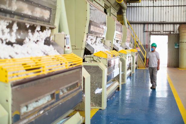 Estrutura industrial de beneficiamento de algodão